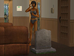 How To Use The Sims 2 Tombstone of Life & Death with Pics