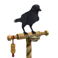 Pet-Grim Standard Ascendant Crow.png (11 KB) Crow in Build/Buy
