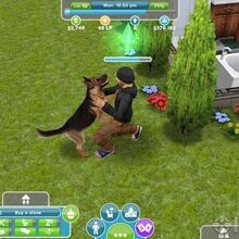 The Sims Freeplay The Sims Wiki Fandom