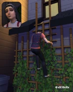 Teenage Bella taking a selfie and a picture of Mortimer sneaking out