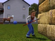 Jack farming.jpg (581 kB) Un niño ayudando con las tareas del campo.