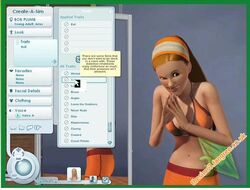 Create a Sim, The Sims Wiki