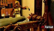 Sims medieval 02
