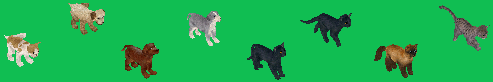 the sims 4 cats and dogs strays in other neighborhoods