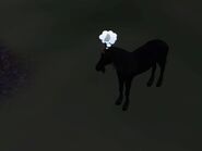 A black unicorn.