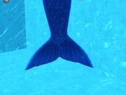 A male mermaid's tail.