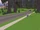 Redwood Glen