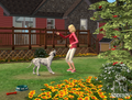 The Sims Pet Stories Alice and Sam