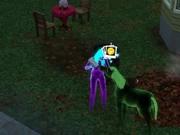 Hauntedcursehorse.png (408 KB) A Foal that died from a haunted curse, created by a mod.
