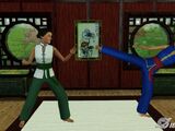 Martial arts