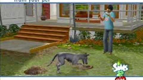 Los Sims 2 Mascotas Wii Tráiler