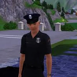 Law Enforcement The Sims Wiki Fandom