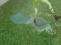 Rain puddles for frolicking in.