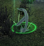 The anchor near the cave.