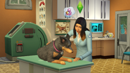 The Sims 4 Cats & Dogs Screenshot 03
