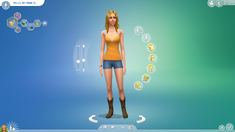 Create a Sim Stories, The Sims Wiki