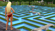 TS3 console hd lovemaze