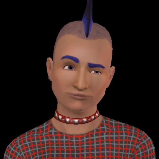 Vj Alvi Die Sims Wiki Fandom