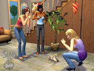 The woman in the purple shirt's hair was part of an official download, but was not included in the game.
