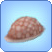 Cowry Shell.png