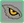Moodlet EagleEye
