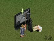 SIMS PELE 1