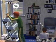 Sims2TeenLife2