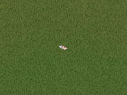 The Studio Town Tabloid in The Sims: Superstar.