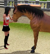 A Sim giving a horse a treat.