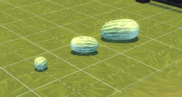 WatermelonTS4.png (455 KB) Watermelon size comparison