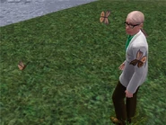 Griffin Work Outfit.jpg (68 KB) Griffin trying to catch the butterflies in his work outfit