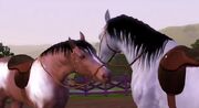 The sims 3 horse 3