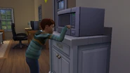 Child Microwave.png (891 kB) Un niño usando el microondas.