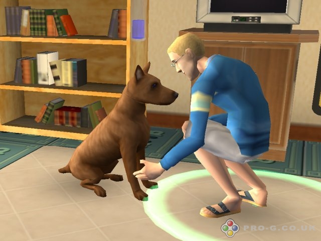Animal | The Sims Wiki | Fandom