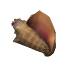 Coleccionables Conchas.png