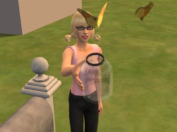 The Sims 2: Bichos de Estimação, The Sims Wiki