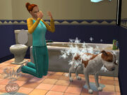 The Sims 2 Pets Screenshot 03