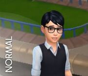 Normal.jpg