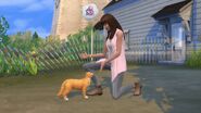 The Sims 4 Cats & Dogs Screenshot 13