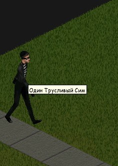 Вор (The Sims)