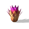 Quill Fruit.png