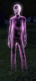 A Sim that died by starvation.