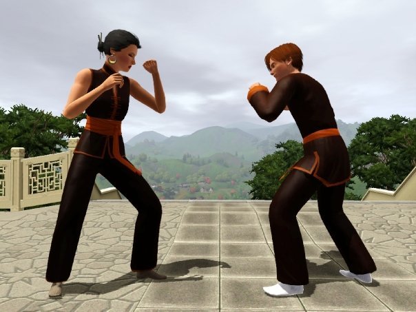 Sims master. SIMS 3 Martial Arts. Боевые искусства симс 3. The SIMS 4 боевые искусства. Манекены в симс.