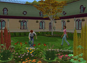 LS2 Jardines 07.jpg (206 KB)