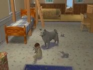 Sarah, her puppies, and a CAS-created Sim