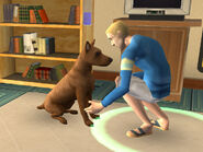 The Sims 2 Pets Console Screenshot 01