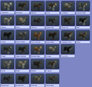 All cat breeds.