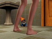 When gnomes attack...