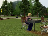 A Sim practicing chess alone.