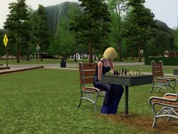 have 2 sims play a long chess game 